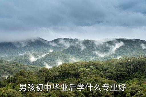 男孩初中毕业后学什么专业好