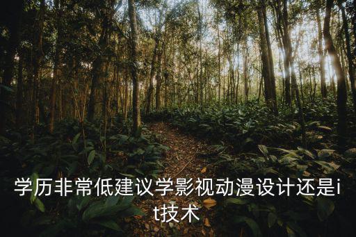 学历非常低建议学影视动漫设计还是it技术