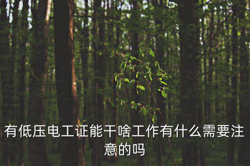 低压电工作先办什么证,有低压电工证能干啥工作