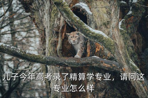 儿子今年高考录了精算学专业，请问这专业怎么样