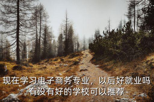 电子商务有什么学校好,现在学习电子商务专业