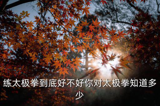 郑州哪里学太极拳,在郑州哪里可以学太极拳
