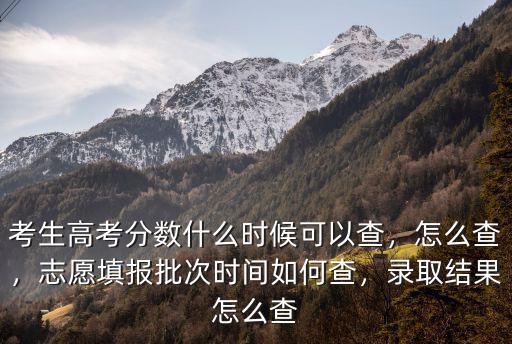 高考分数什么时候查,高考什么时间可以查成绩