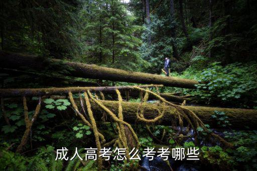 成人高考怎么考考哪些