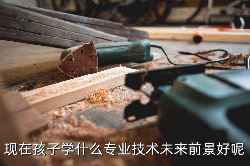 现在孩子学什么专业技术未来前景好呢