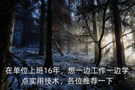 在单位上班16年，想一边工作一边学点实用技术，各位推荐一下