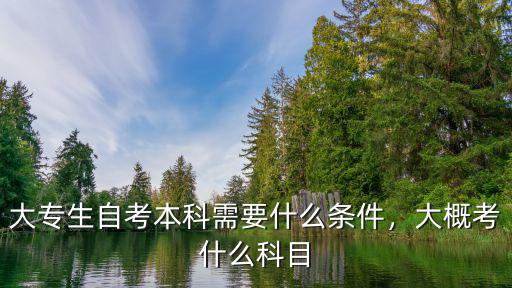 大专自考本科考些什么条件,大专生自考本科需要什么条件