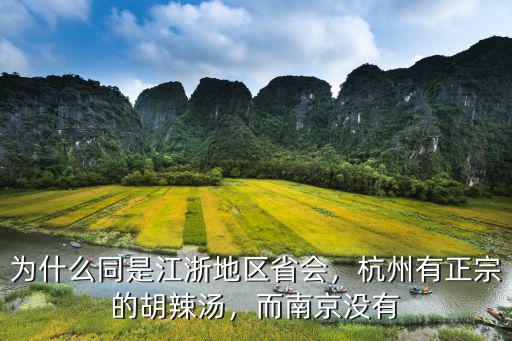 杭州哪里有正宗胡辣汤,北舞渡胡辣汤哪个正宗