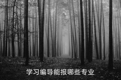 学习编导能报哪些专业