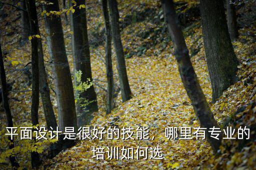平面设计是很好的技能，哪里有专业的培训如何选