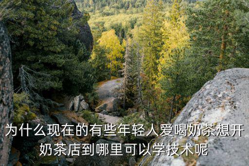 为什么现在的有些年轻人爱喝奶茶想开奶茶店到哪里可以学技术呢