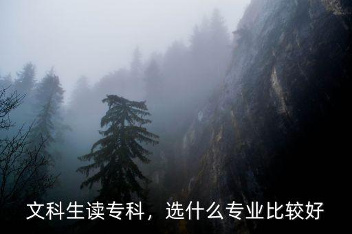 大专文科读什么专业好,文科生读专科适合报什么专业