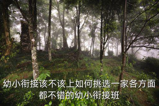 裕学幼小衔接怎么样,幼小衔接到底衔接什么