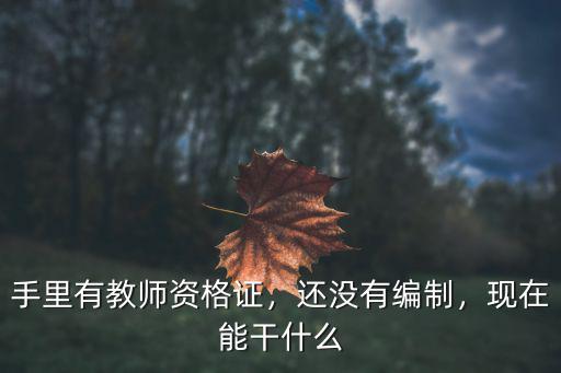 手里有教师资格证，还没有编制，现在能干什么