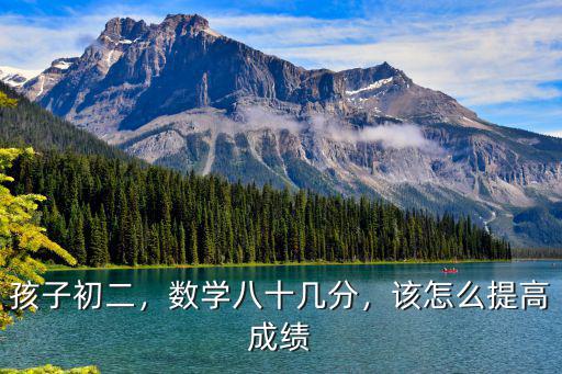 孩子初二，数学八十几分，该怎么提高成绩