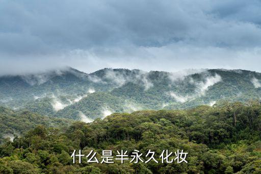 什么是半永久化妆