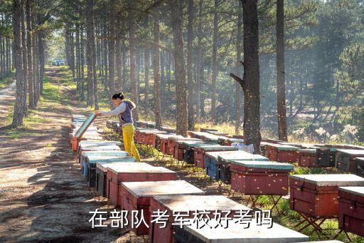 在部队怎么考军校,在部队考军校好考吗
