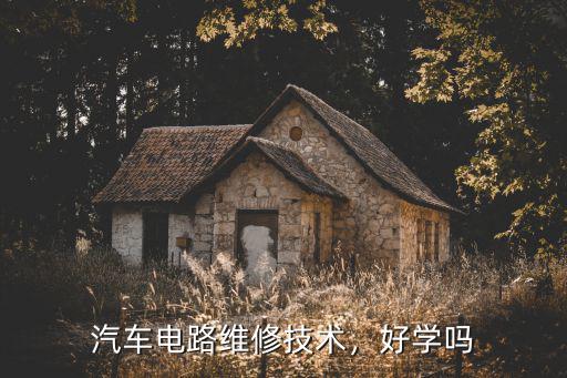 汽车电路维修技术，好学吗