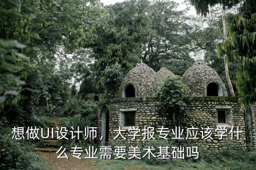想做UI设计师，大学报专业应该学什么专业需要美术基础吗
