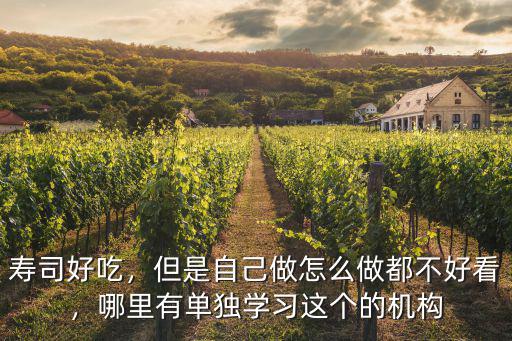 寿司好吃，但是自己做怎么做都不好看，哪里有单独学习这个的机构