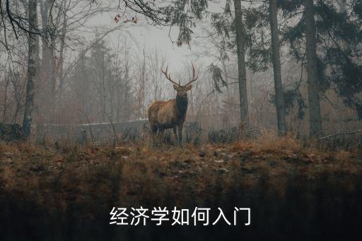 经济学基础主要讲什么,经济学基本理论是什么