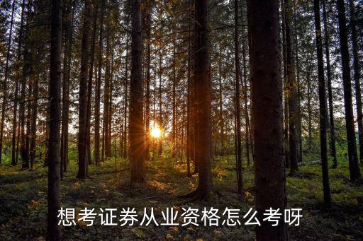 金融从业资格证怎么考,证券从业资格证好考吗