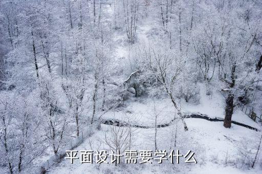 caid学什么,平面设计需要学什么