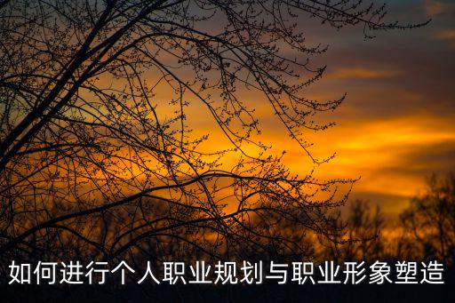 如何进行个人职业规划与职业形象塑造
