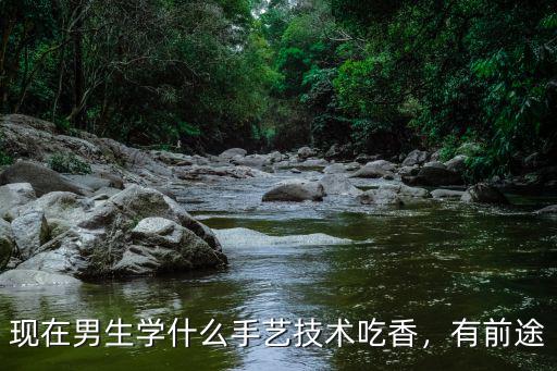 现在学什么技术有前途男生,男生学什么技术有前途