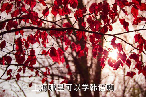 上海哪里可以学韩语啊