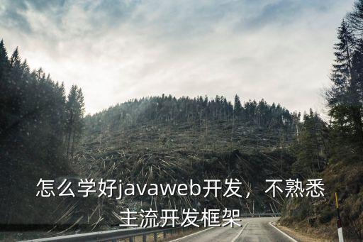 怎么学好javaweb开发，不熟悉主流开发框架