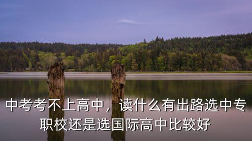 中考考不上高中，读什么有出路选中专职校还是选国际高中比较好