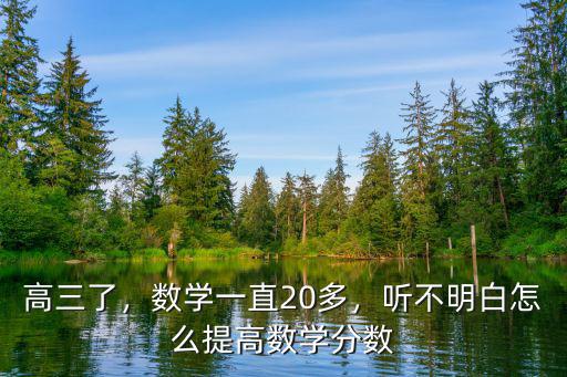 高三了，数学一直20多，听不明白怎么提高数学分数