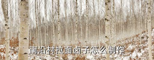 河南抻面得卤子怎么做,南沿村拉面卤子怎么制作