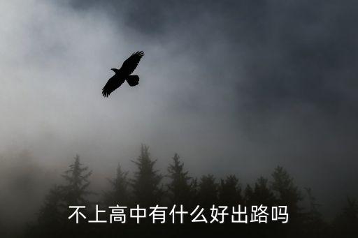 高中不上学有什么出路,不上学有出路吗