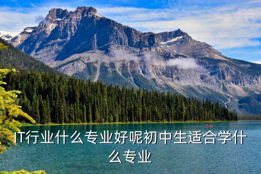 IT行业什么专业好呢初中生适合学什么专业