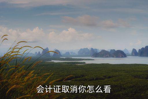 会计证取消有什么后果,会计证取消你怎么看