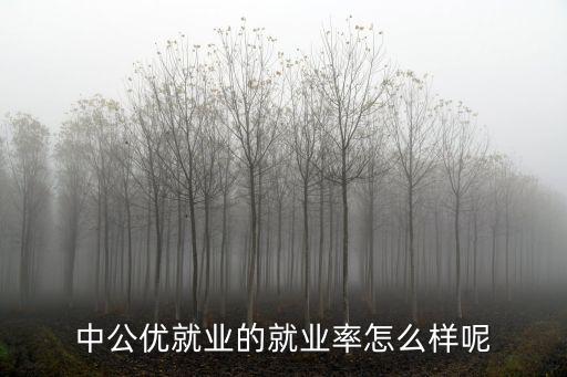 中公优就业教育怎么样,中公优就业的就业率怎么样呢