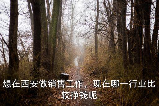 在西安做什么工作赚钱,想在西安做销售工作