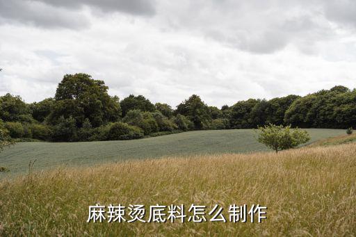 自助麻辣烫锅底怎么做,麻辣烫底料怎么制作