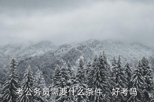 考公务员需要什么条件，好考吗