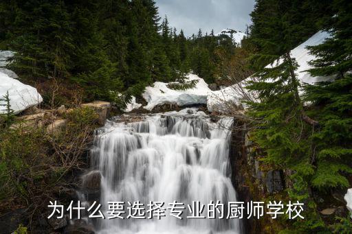 为什么要培训后厨,为什么要选择专业的厨师学校