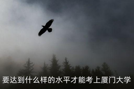 要达到什么样的水平才能考上厦门大学