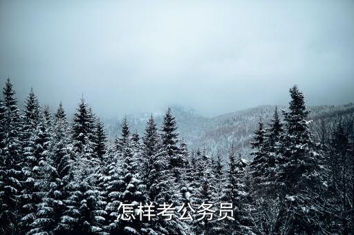怎样考公务员