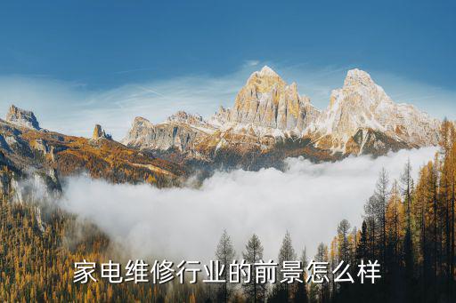 家电维修行业的前景怎么样