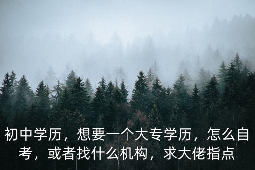 初中学历，想要一个大专学历，怎么自考，或者找什么机构，求大佬指点