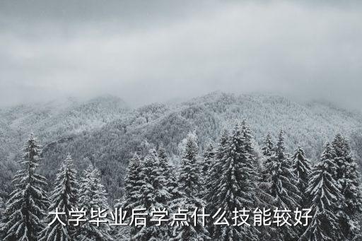 大学毕业后学点什么技能较好