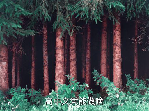 只有高中学历能做什么工作吗,高中文凭能做啥