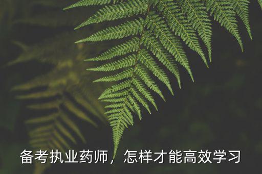 备考执业药师，怎样才能高效学习