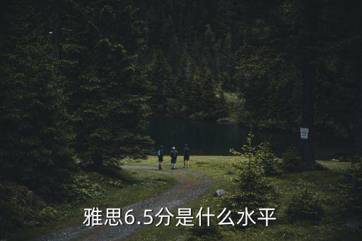 雅思6.5分是什么水平